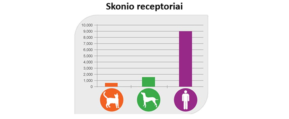 kates-skonio-receptoriai